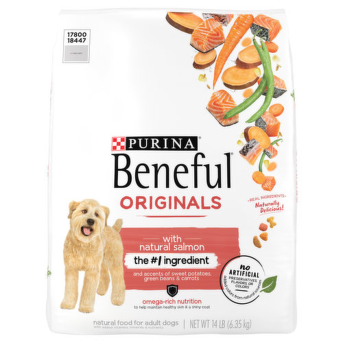 Beneful Food for Dogs, with Natural Salmon, Adult
