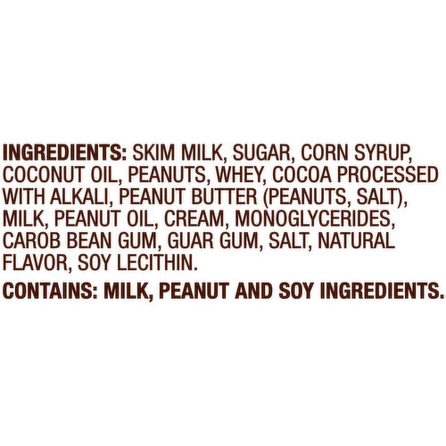 Dreyer's Frozen Dairy Dessert, Extra Chocolate Peanut Butter
