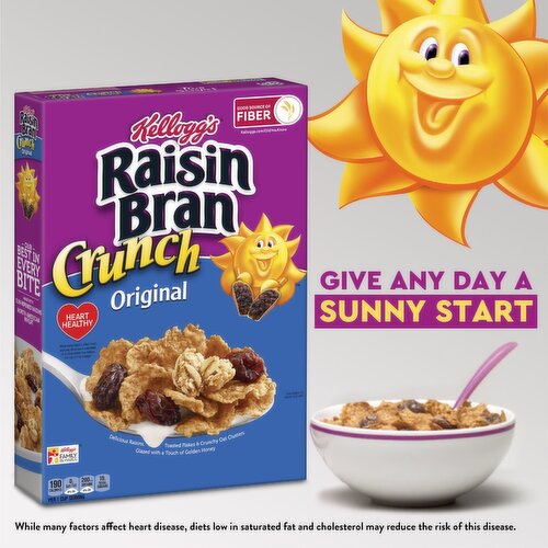 Raisin Bran Breakfast Cereal, Original