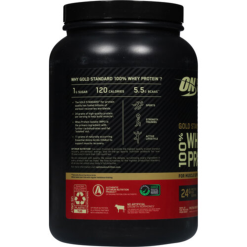 Optimum Nutrition Protein Powder Drink Mix, 100% Whey Protein, Double Rich Chocolate
