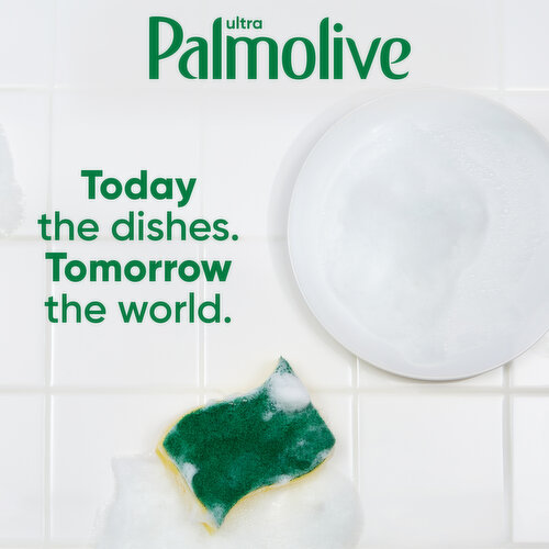 Palmolive Dish Liquid, Oxy, Ultra, Refill Size
