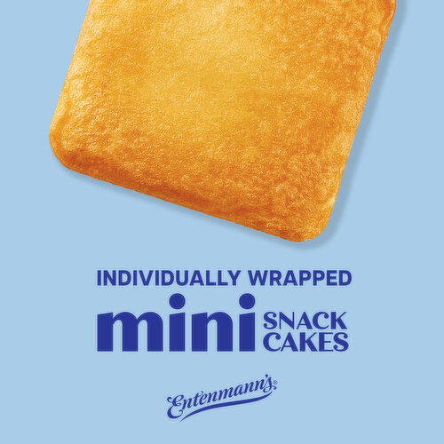 Entenmann's Butter Mini Pound Cakes, 6 packs, 9.25 oz
