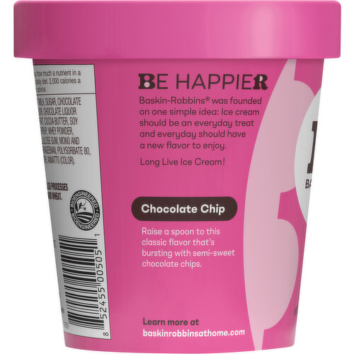 Baskin Robbins Chocolate Chip Ice Cream