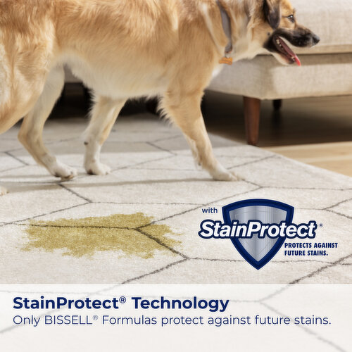 Bissell Pro Pet Urine Oxy Carpet Formula