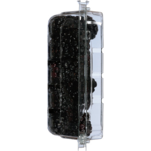 Berry Fresh Blackberries