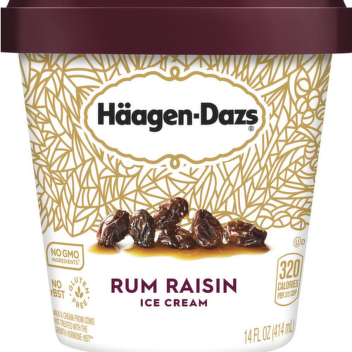 Haagen-Dazs Ice Cream, Rum Raisin