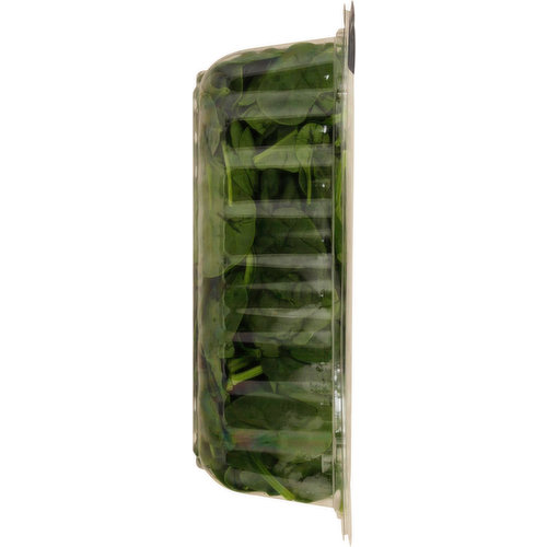 Sun Harvest Baby Spinach, Organic