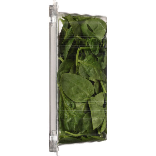 Sun Harvest Baby Spinach, Organic