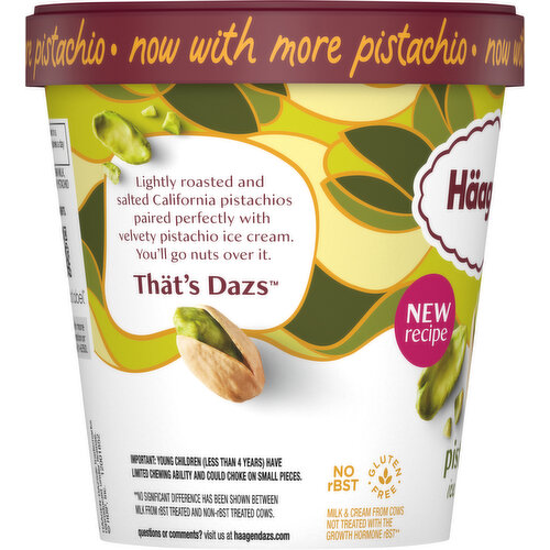 Haagen-Dazs Pistachio Ice Cream