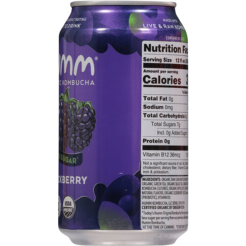 Humm Less Sugar Blackberry Probiotic Kombucha
