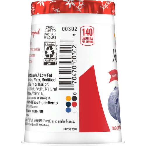 Yoplait Low Fat Mountain Blueberry Yogurt