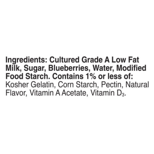Yoplait Low Fat Mountain Blueberry Yogurt