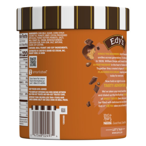 Dreyer's Frozen Dairy Dessert, Extra Chocolate Peanut Butter