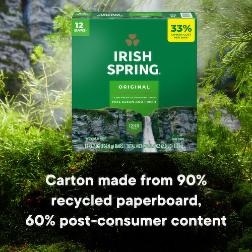 Irish Spring Deodorant Bar Soap for Men
