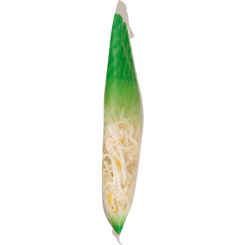 Salad Cosmo Mung Bean Sprouts, Organic