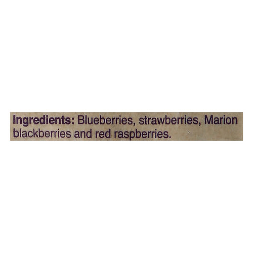 Stahlbush Island Farms Northwest Berry Blend