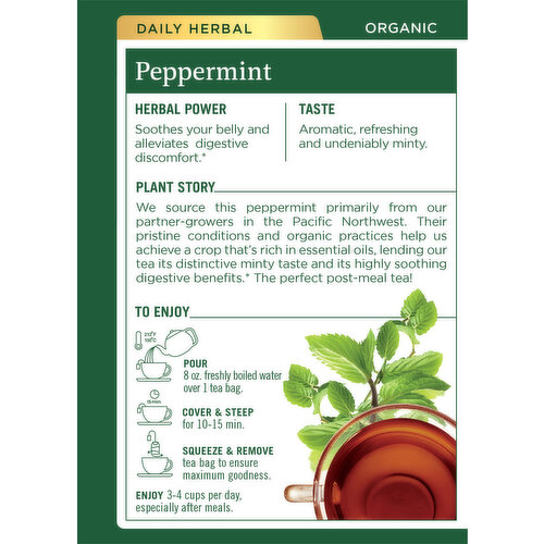 Traditional Medicinals Tea Bags Caffeine Free Organic Peppermint Tea