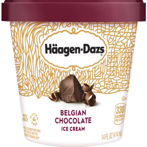 Haagen-Dazs Ice Cream, Belgian Chocolate