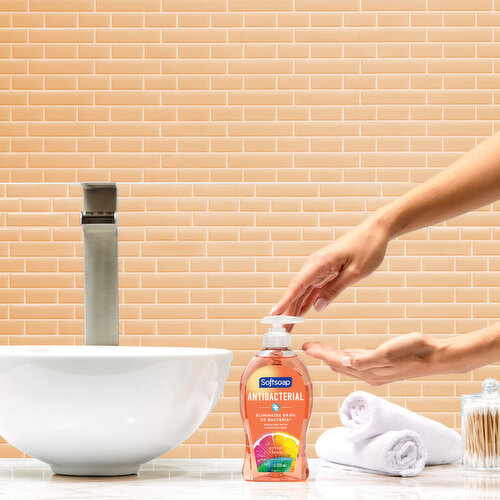 Softsoap Liquid Hand Soap Pump