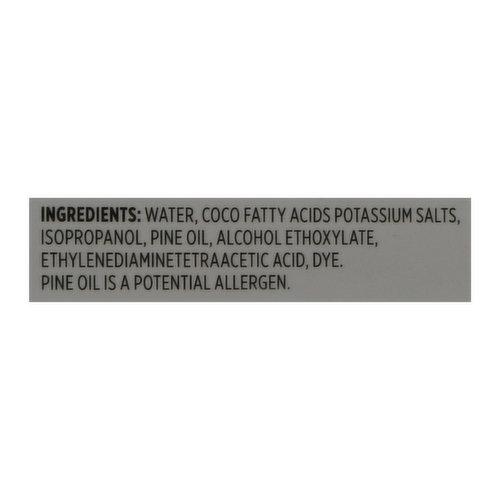 First Street Degreaser/Cleaner/Deodorizer, Pine Plus