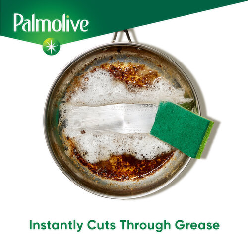 Palmolive Dishwashing Liquid Dish Soap
