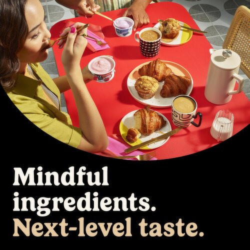 So Delicious Dairy Free Coconut Unsweetened Vanilla Yogurt Alternative