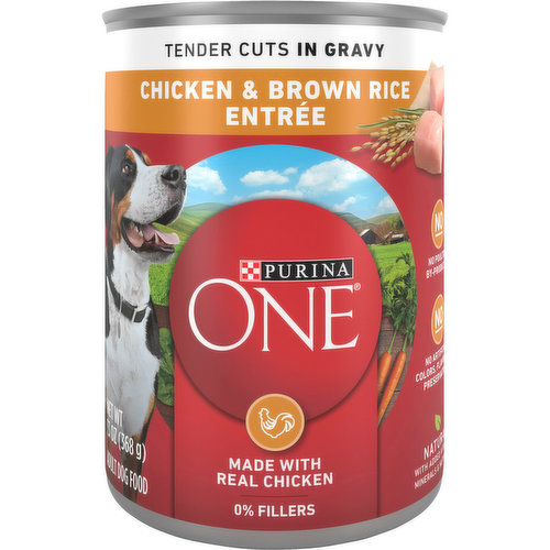 Purina One Purina ONE Tender Cuts in Wet Dog Food Gravy Chicken and Brown Rice Entree