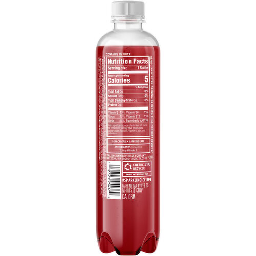Sparkling Ice Zero Sugar Fruit Punch Sparkling Water