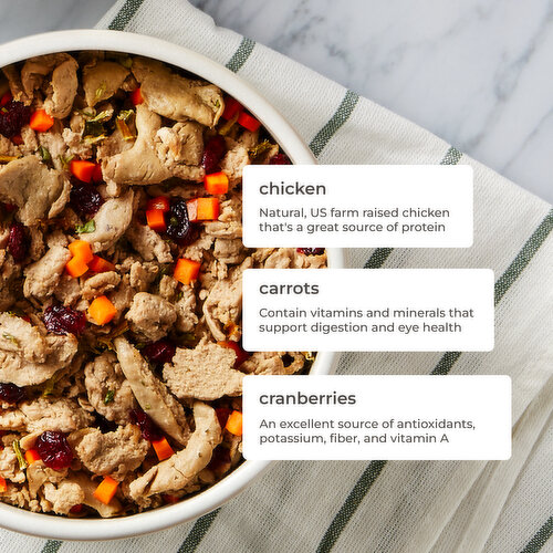 Freshpet Fresh From the Kitchen, Healthy & Natural Dog Food, Chicken Recipe, 4.5lb