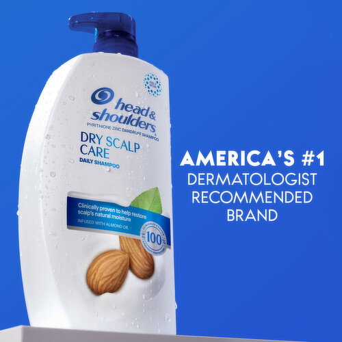 Head & Shoulders Dry Scalp Care Anti-Dandruff Shampoo