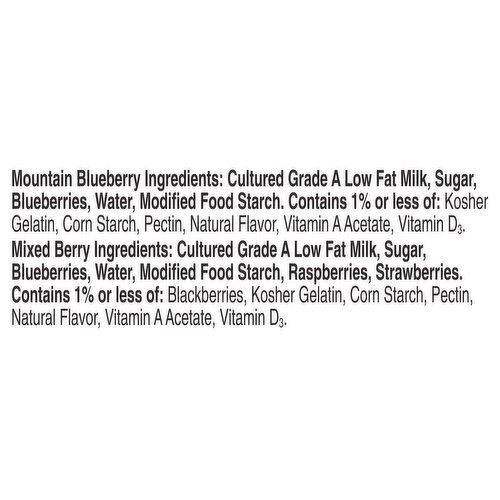 Yoplait Low Fat Mountain Blueberry/Mixed Berry Yogurt