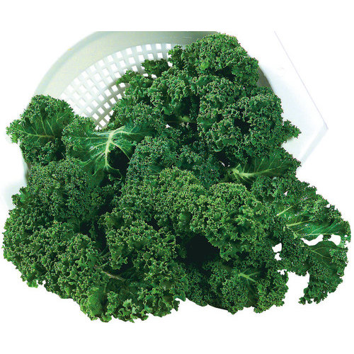 Organic Kale 2.5 Lb.