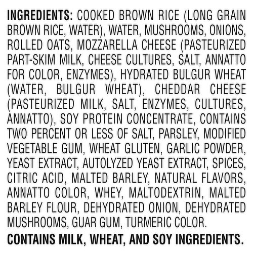 Gardenburger Veggie Burgers, Original