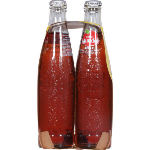 Sidral Mundet Soda, Apple, 4 Pack