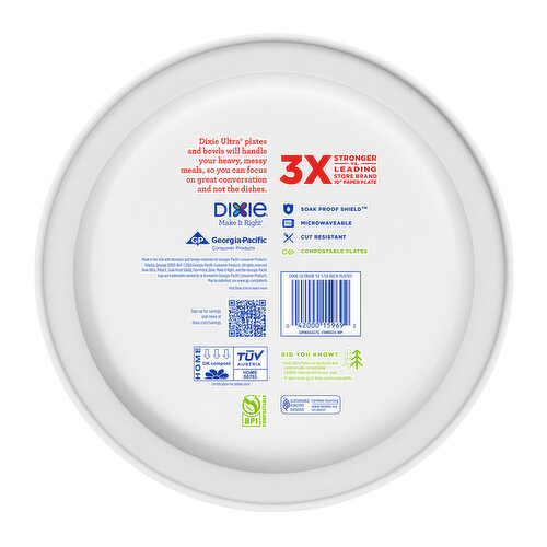 DIXIE Plates, 10-1/16 Inch