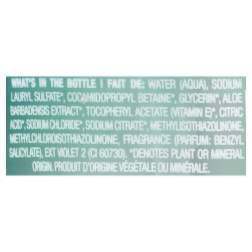 Method Hand Wash, Foaming, Coconut Water