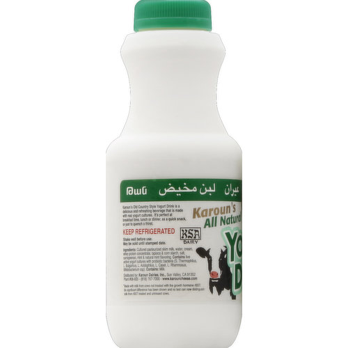Karoun Yogurt Drink, Mint Flavor