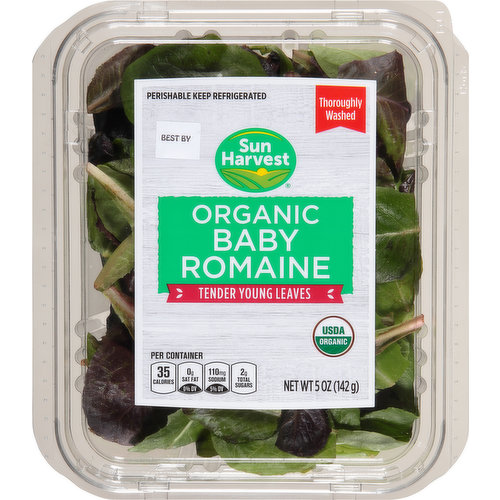 Sun Harvest Baby Romaine, Organic