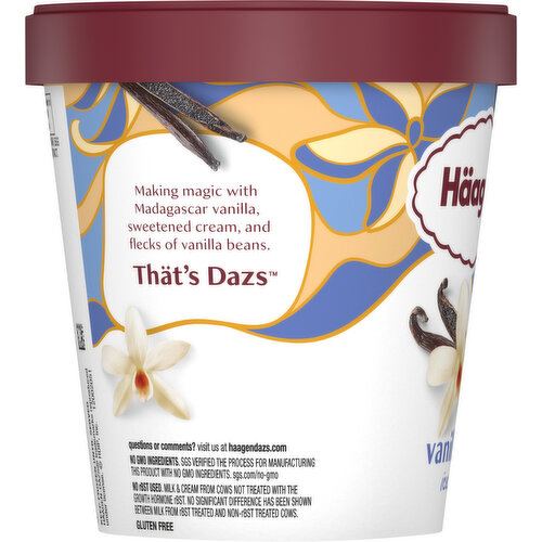 Haagen-Dazs Ice Cream, Vanilla Bean