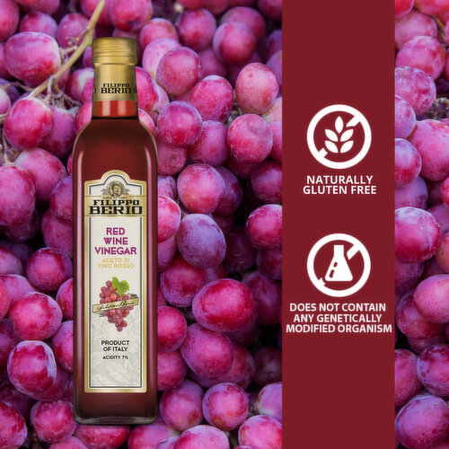 Filippo Berio Red Wine Vinegar