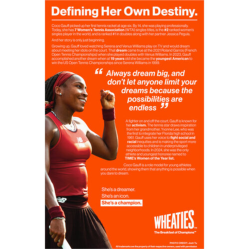 Wheaties Toasted 100% Whole Wheat Flakes