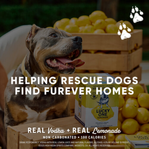 Lucky One Blueberry Vodka Lemonade