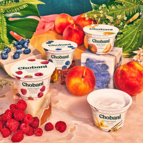 Chobani Yogurt, Greek, Nonfat, Vanilla, Value 4 Pack