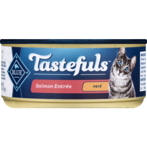 Blue Buffalo Food for Cats, Salmon Entree, Pate