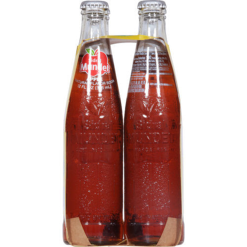 Sidral Mundet Soda, Apple, 4 Pack