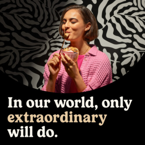 So Delicious Dairy Free Coconut Raspberry Yogurt Alternative