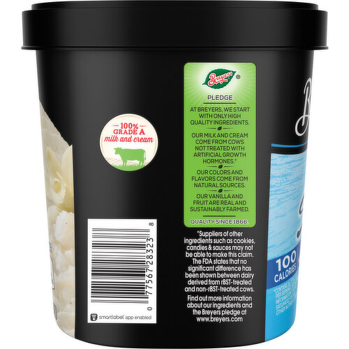 Breyers Frozen Dairy Dessert, Vanilla