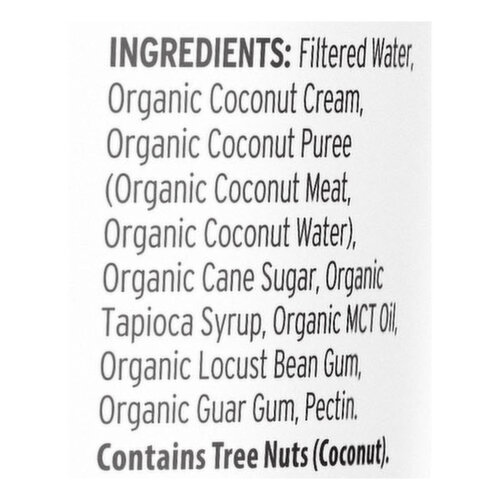 Pitaya Foods Organic Premium Sorbetter Coconut Sorbet