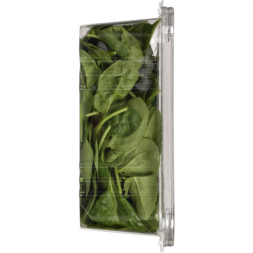 Sun Harvest Baby Spinach, Organic