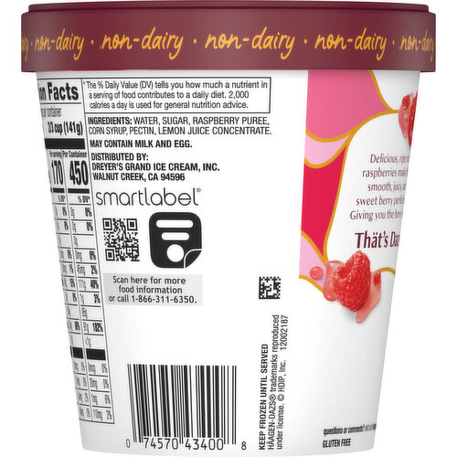 Haagen-Dazs Haagen-Dazs Raspberry Sorbet, 14oz